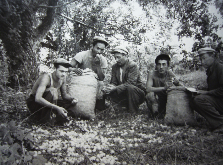 Aymak Djangaliev e guardie forestali spedizione nella riserva dello Zailiysky - Fotografia proveniente dagli Archivi di Aymak Djangaliev, grazie a Catherine Peix-associazione alma - Fondazione Benetton Studi Ricerche