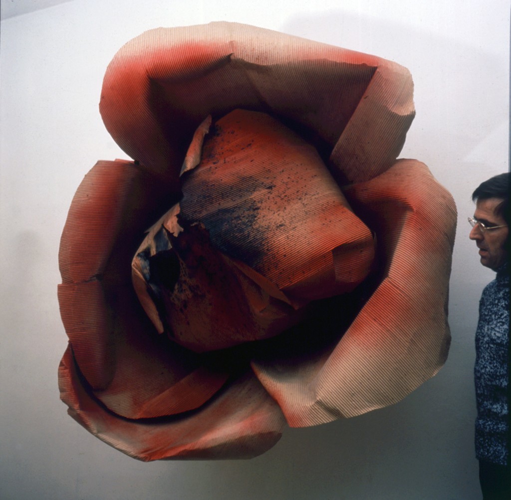 Michelangelo Pistoletto - Rosa Bruciata (Oggetti in meno 1965 - 66) 1965. Cartone ondulato bruciato e vernice a spruzzo. Fondazione Pistoletto, Biella, Ph. P. Bressano