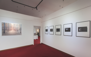 Vernissage mostra B’TEVA