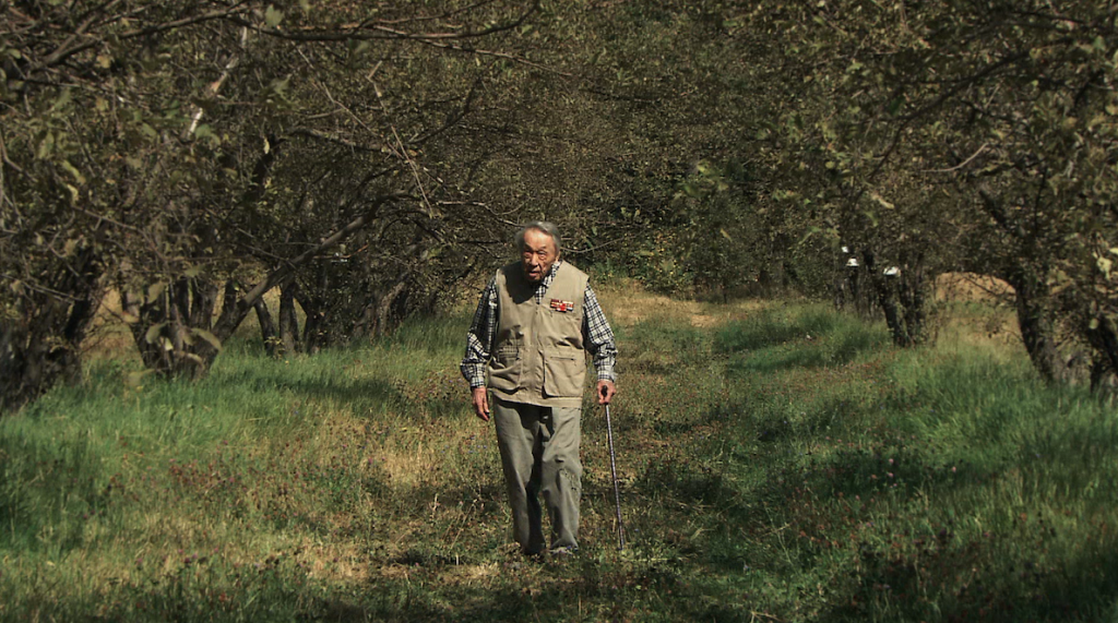 Aymak Djangaliev nell’imponente viale di Malus sieversii del suo conservatorio, nel centro di fito-introduzione del giardino botanico di Almaty, durante le riprese del documentario di Catherine Peix, 2 settembre 2006. Il conservatorio è stato distrutto nel 2012, da un incendio doloso (fotografia tratta dal documentario di Catherine Peix).