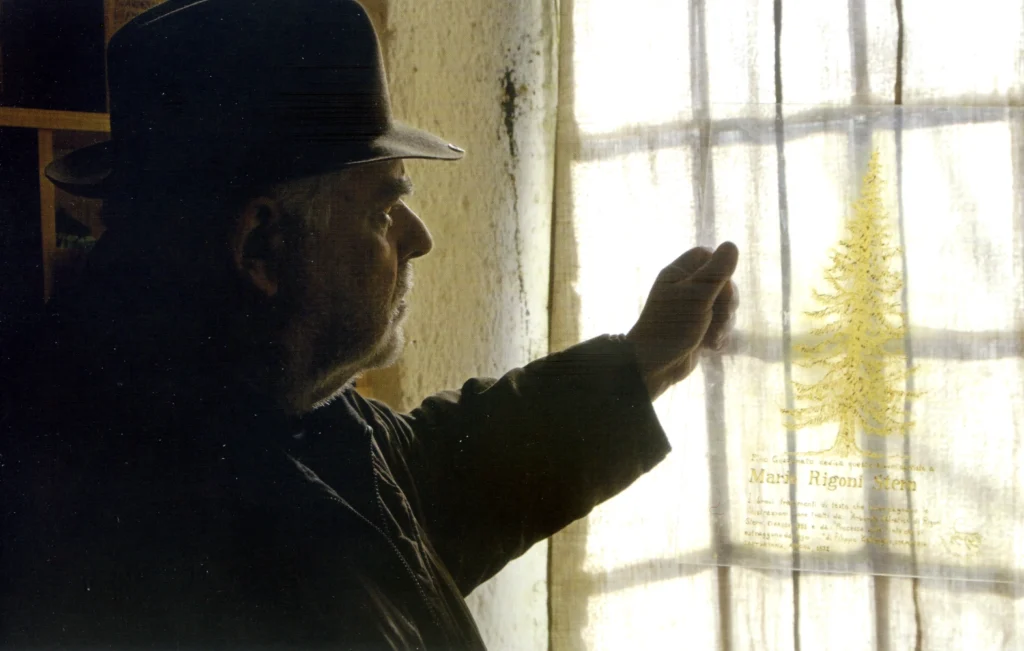 Pino Guzzonato al lavoro sulla copertina del libro sugli alberi