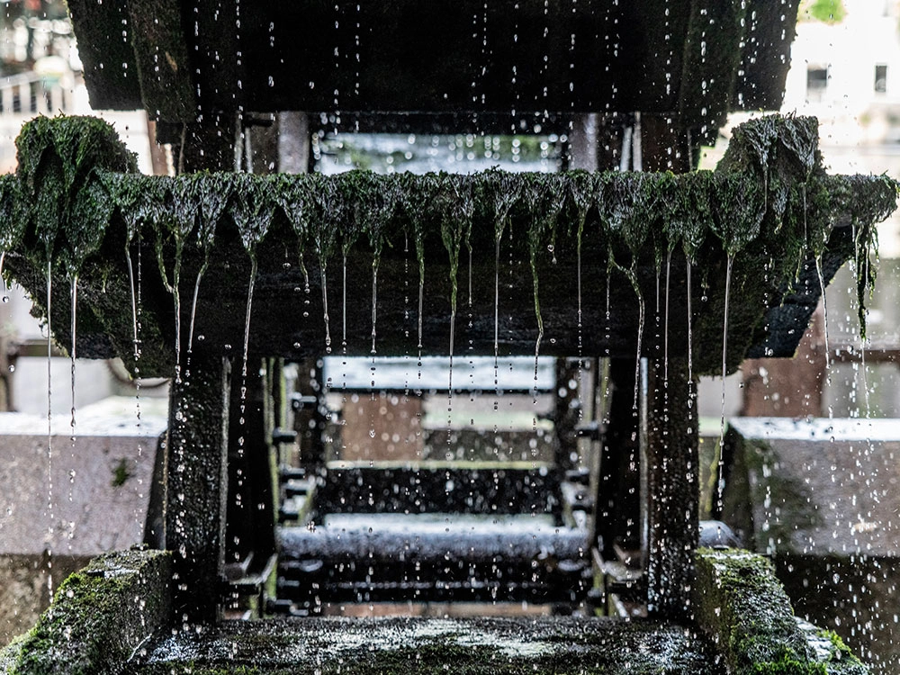 SEI FIUMI PER 70 MULINI. Usi e gestione dei fiumi di risorgiva nella storia delle province di Padova, Treviso, Venezia. Testi di Mauro Scroccaro, foto di Giorgio Bombieri