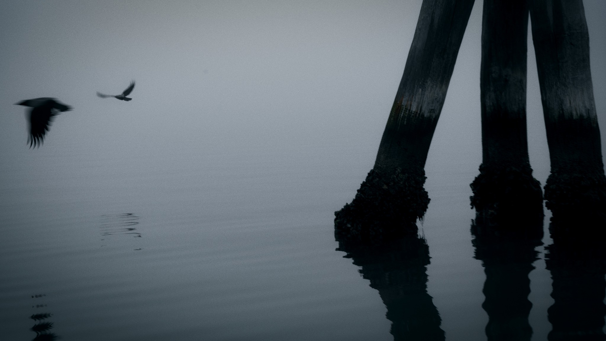 Fotogramma del film Sventura di Serena Nono